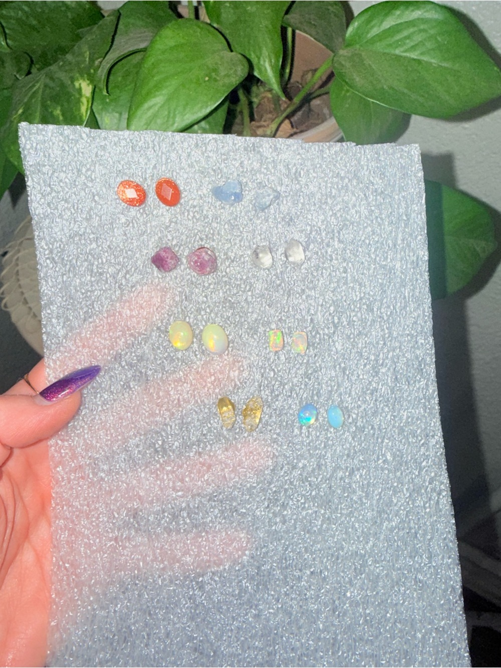 NEW STUDS - Picture 2 of 2